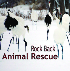 Rock Back: Animal Rescue Vol 1 Ten Million Lights on Rock Back compilation
